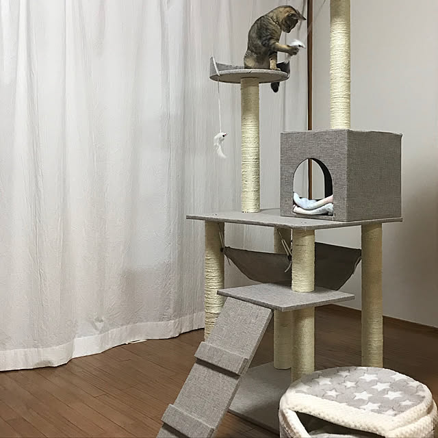 chiitanさんの実例写真