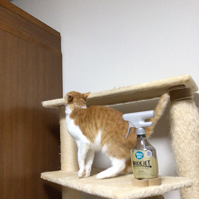 houenさんの部屋