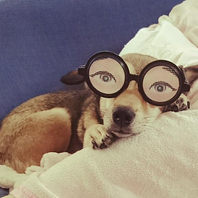 andさんの実例写真