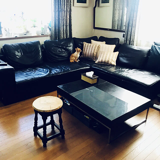 Ayaさんの実例写真