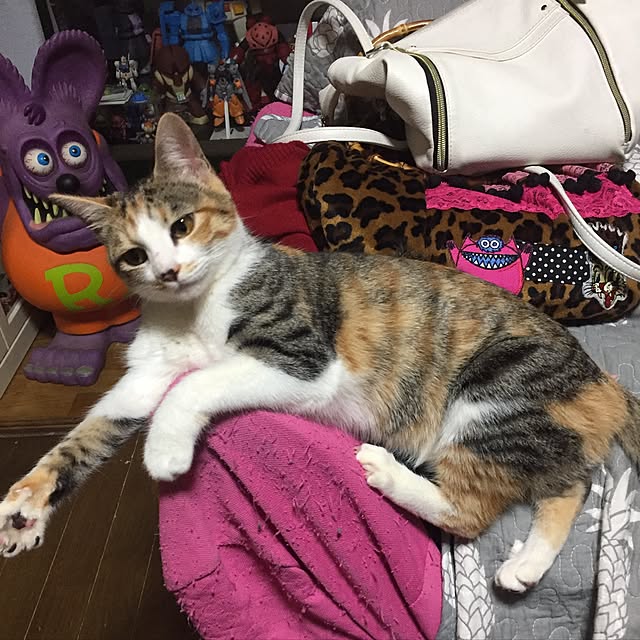 vivienne.coco-keiさんの実例写真