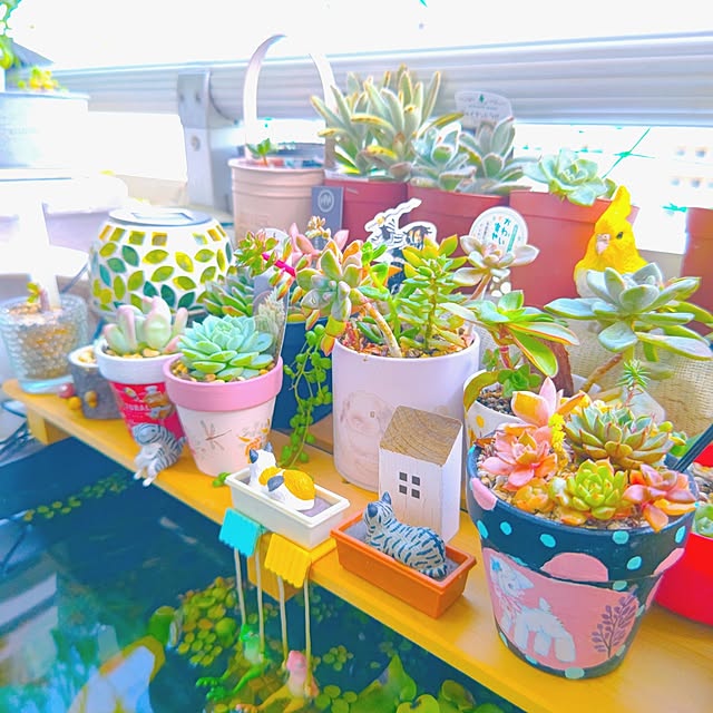 mariaさんの部屋