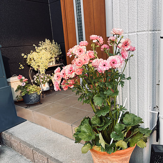 kikiさんの実例写真