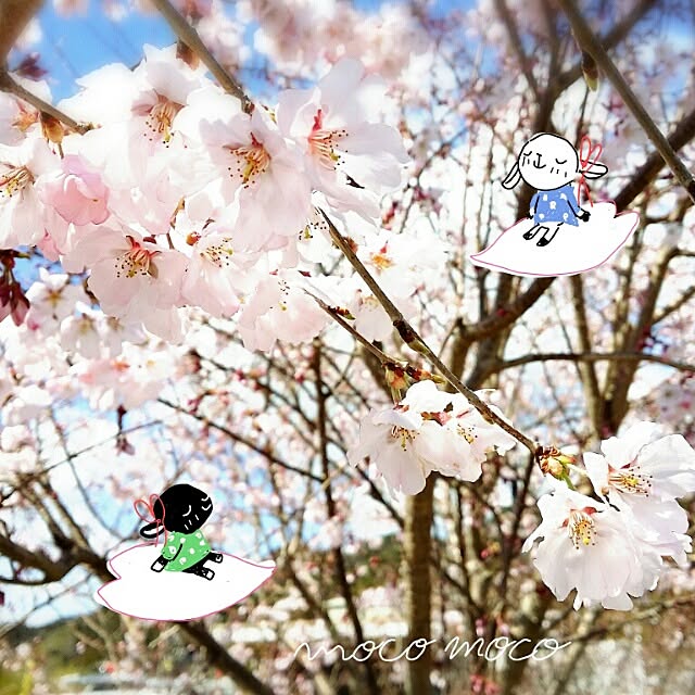 moco-mocoさんの実例写真