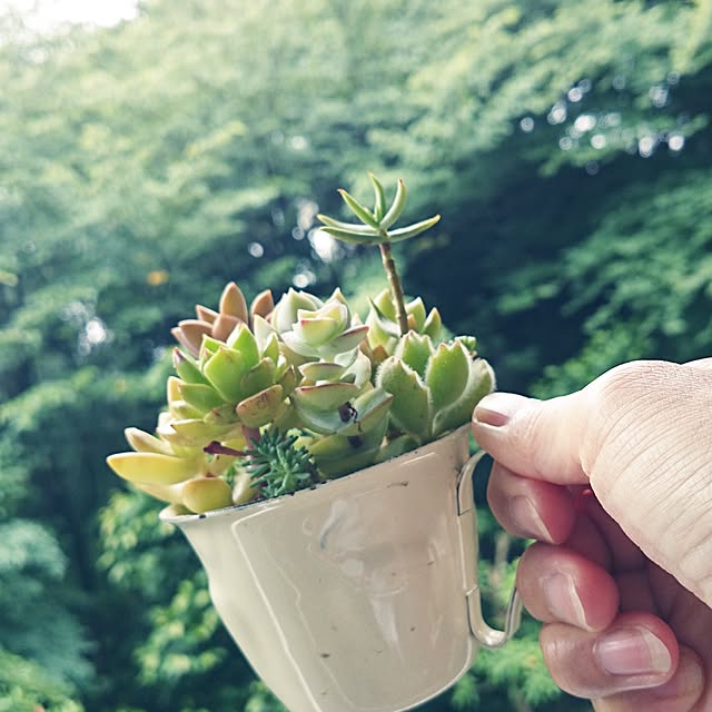 rookier05さんの実例写真
