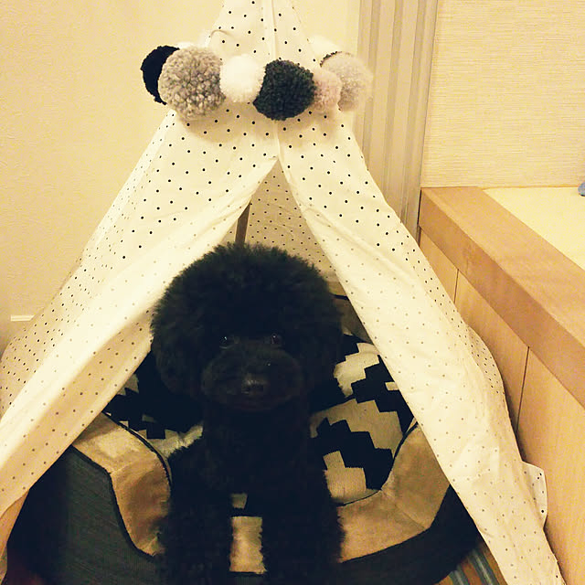 tomoppさんの実例写真