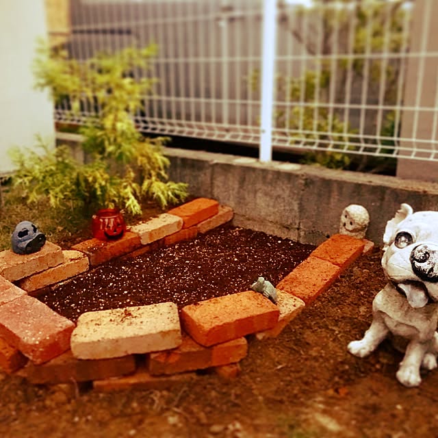 Akikoさんの実例写真