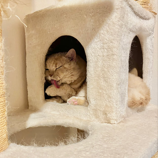 naokoさんの部屋