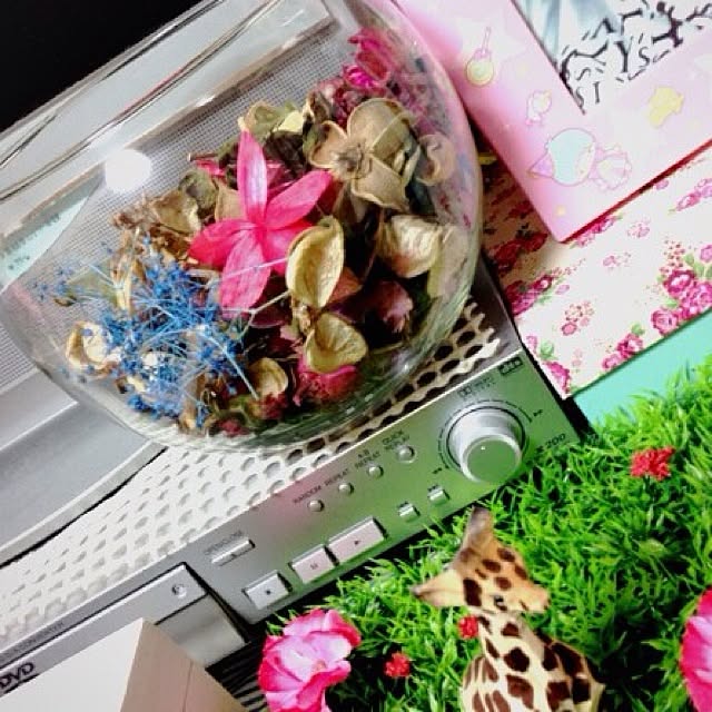 棚/植物のインテリア実例 - 2013-04-20 17:43:00