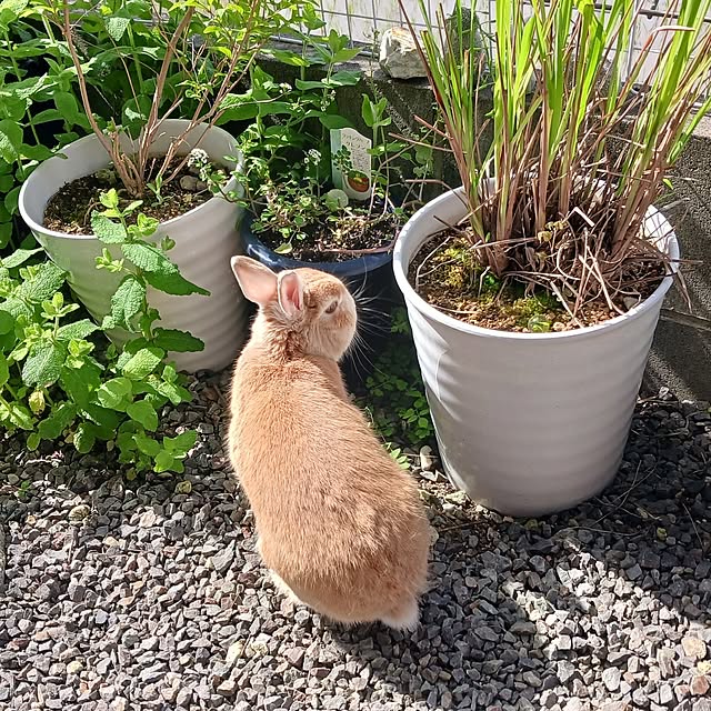 aiさんの部屋
