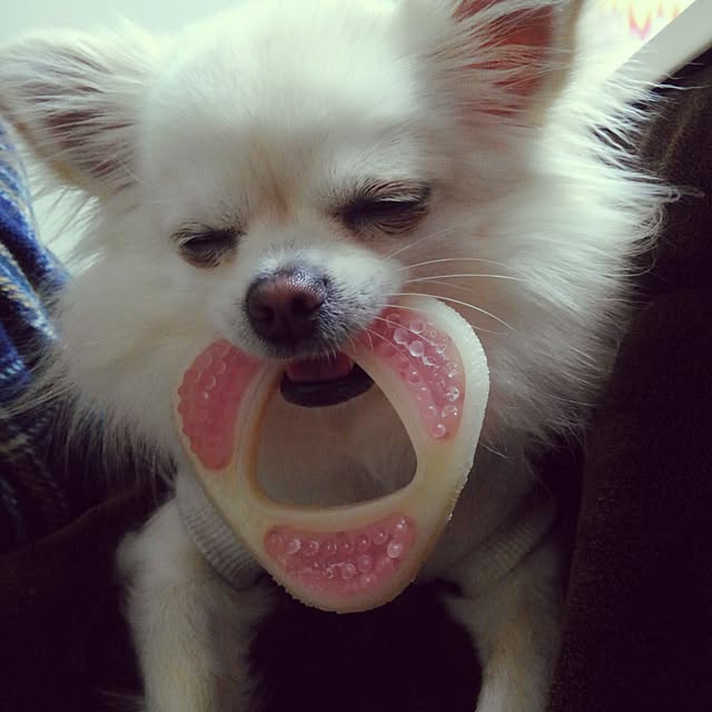 okuriさんの実例写真