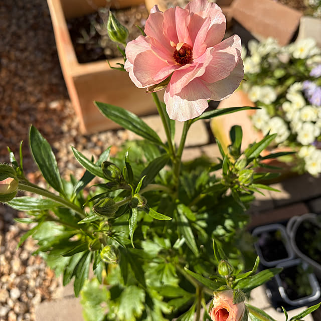 tiroさんの実例写真