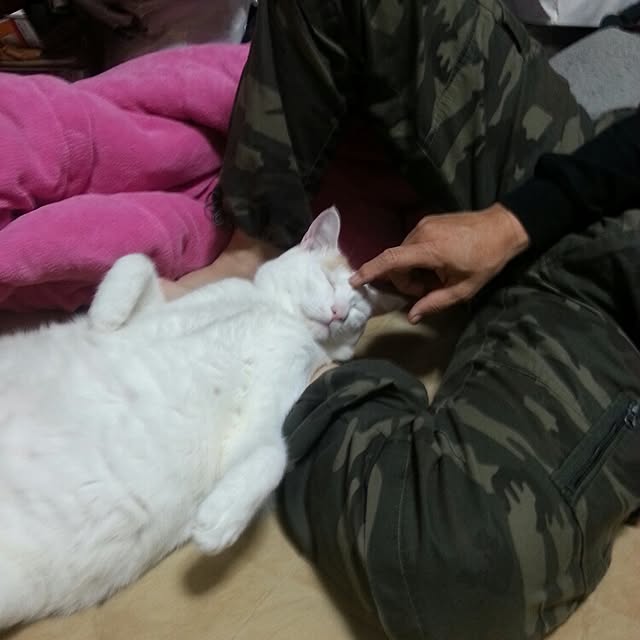 Yukikoさんの実例写真