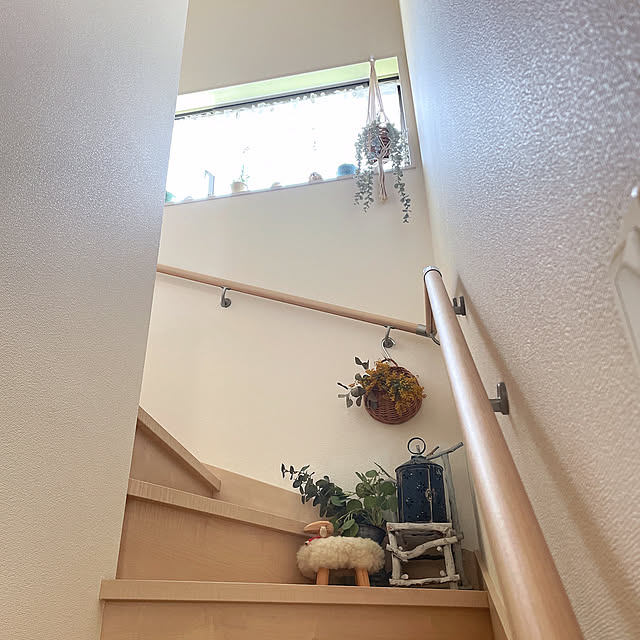 akiko-ovさんの部屋