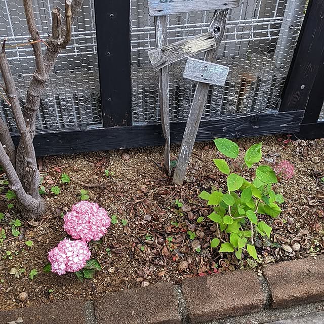 kappaさんの部屋