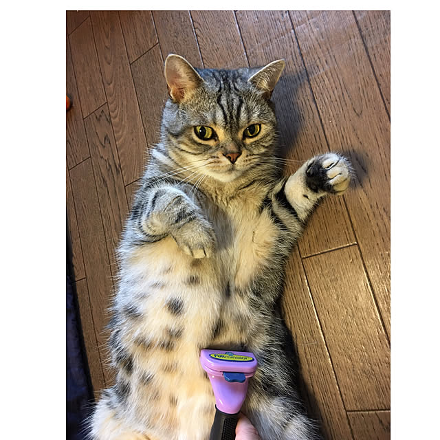 mame-minさんの実例写真