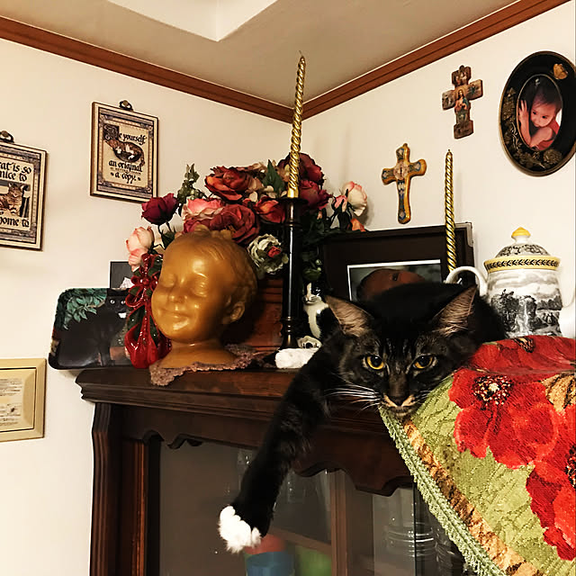 emmaさんの実例写真