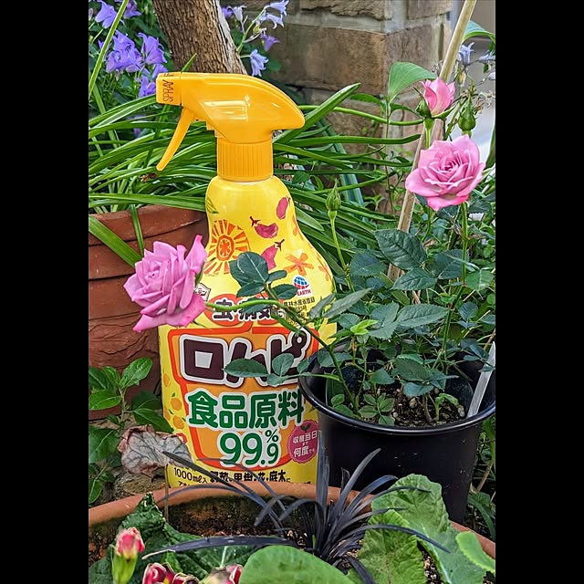 aromameさんの実例写真