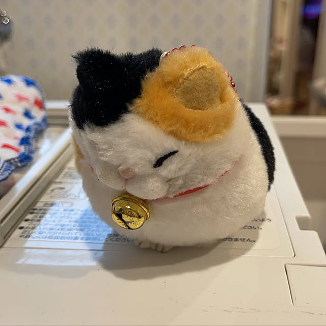 manekinekoさんの実例写真