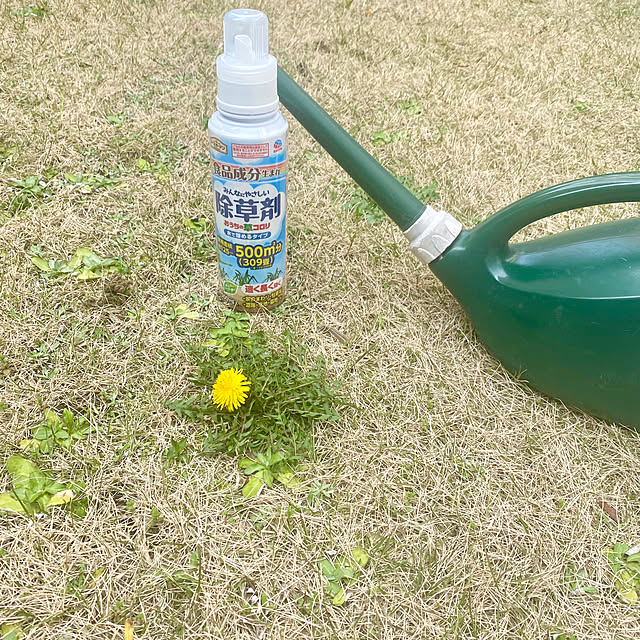 YuuKoさんの実例写真
