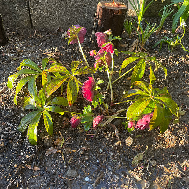 shin0719さんの部屋