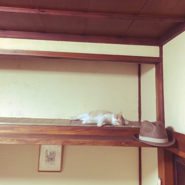 syokoさんの実例写真