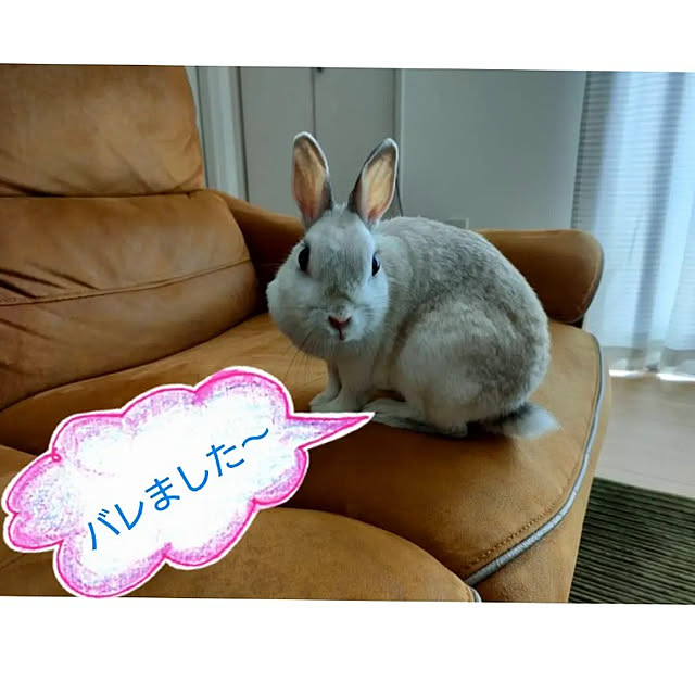 nAnAさんの実例写真