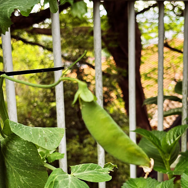 decoさんの実例写真