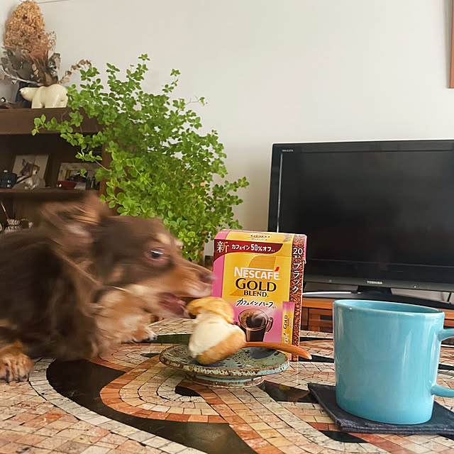 rueさんの部屋