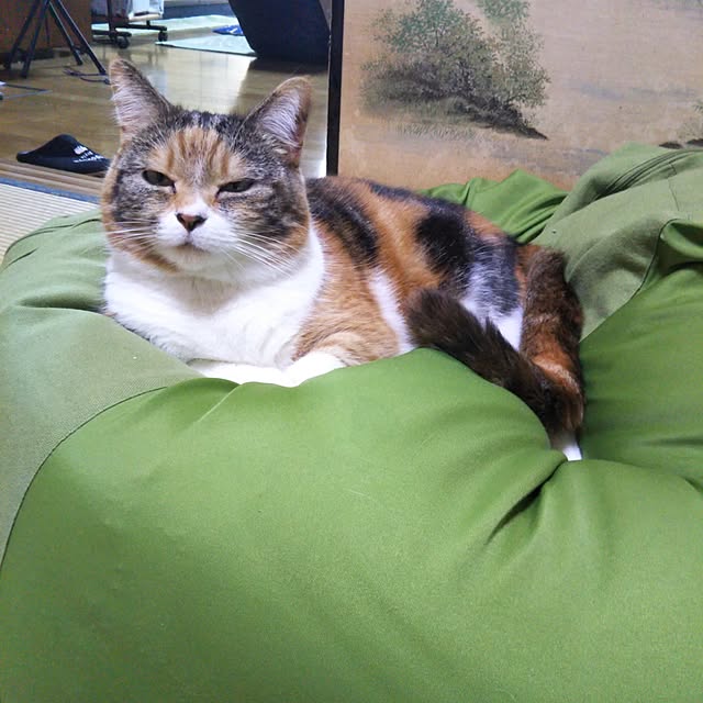 yukieさんの実例写真