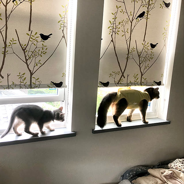 paradise_viewさんの実例写真