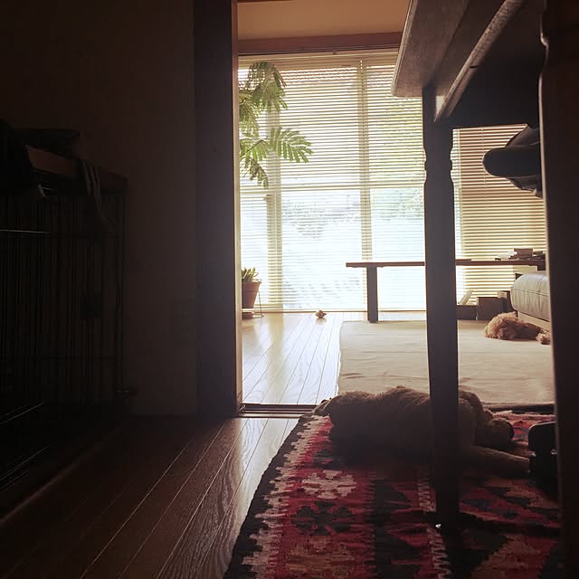 kaothe390さんの実例写真