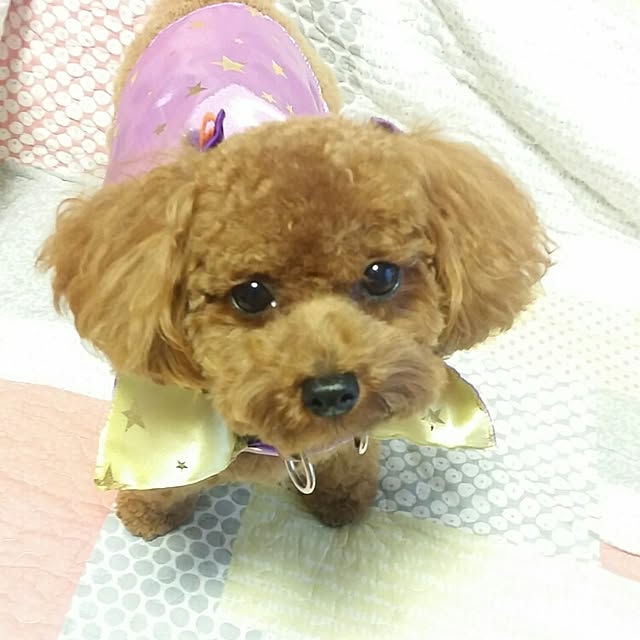 LDKさんの実例写真