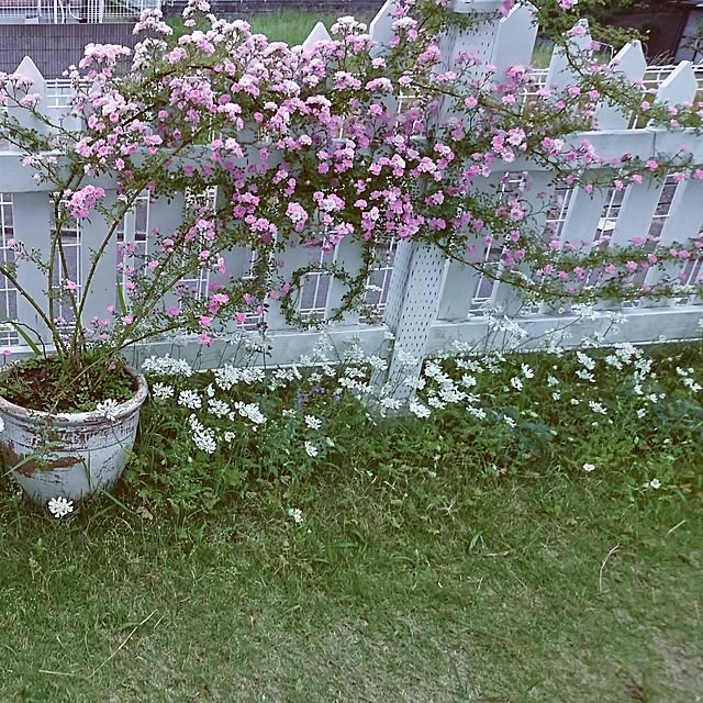 kiyosukeさんの実例写真