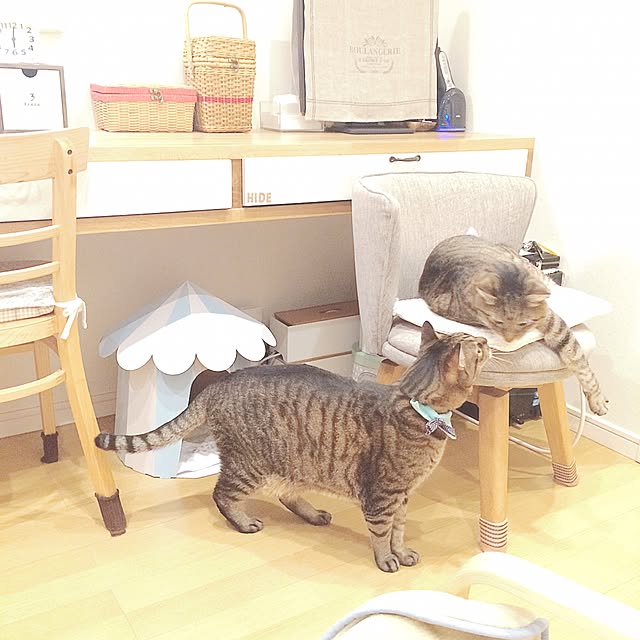 lovecatさんの実例写真