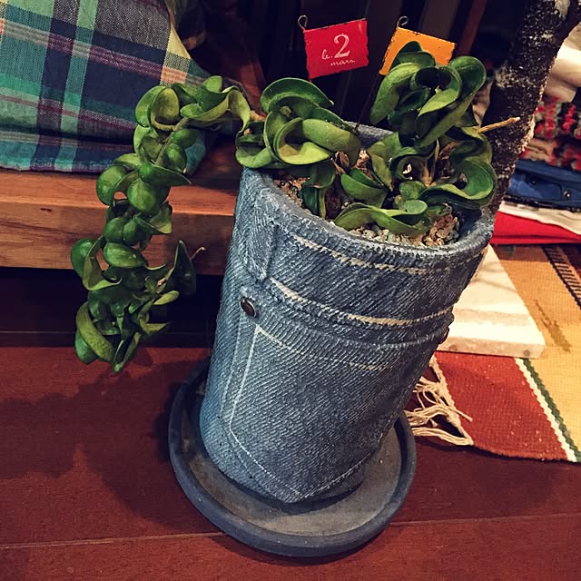 marucoさんの実例写真