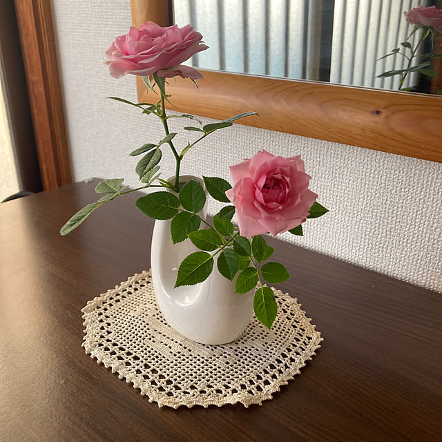 kazu-cafeさんの実例写真