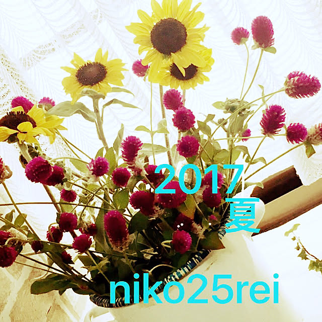 niko25reiさんの実例写真