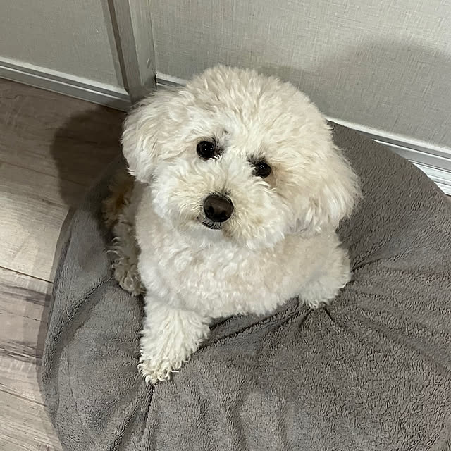 madamkaoriさんの部屋