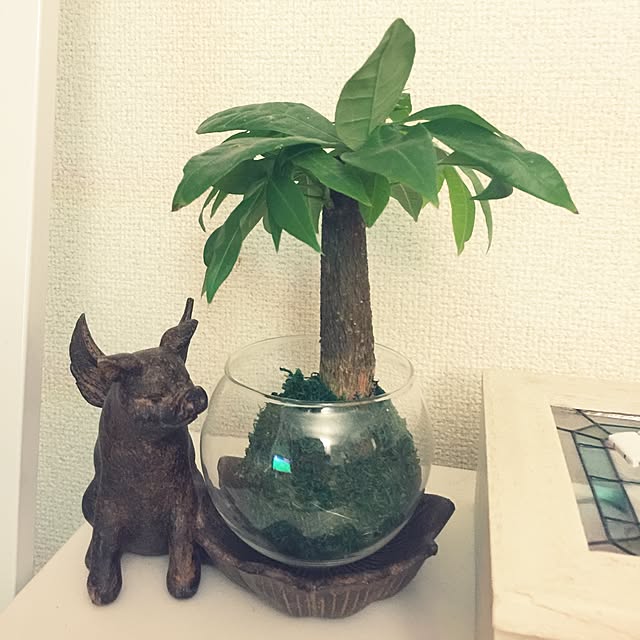 nonchiさんの実例写真
