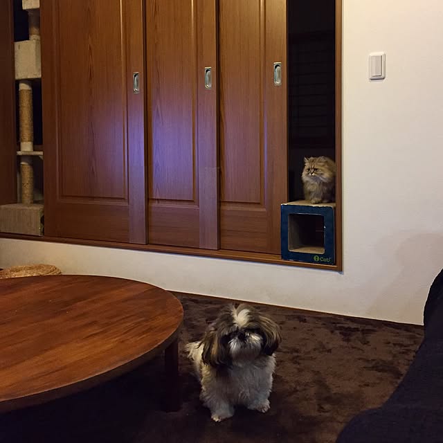 butachanさんの実例写真
