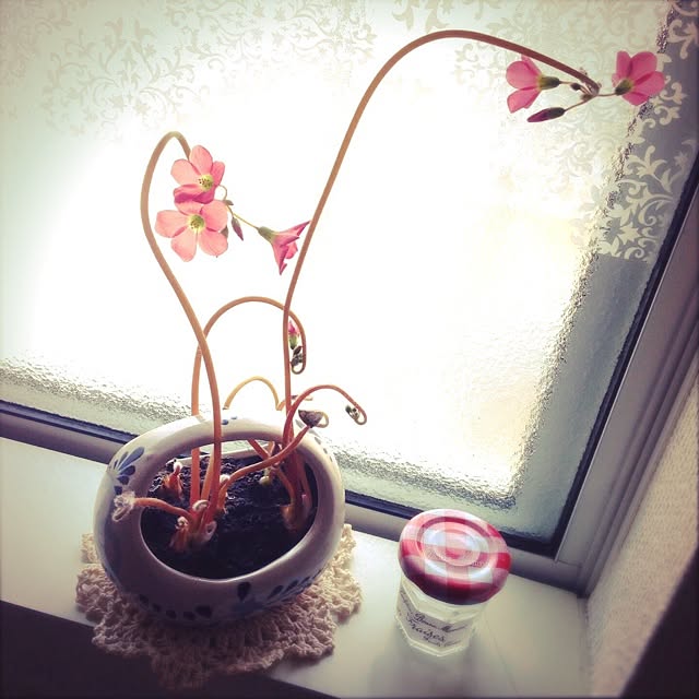 yumiさんの実例写真
