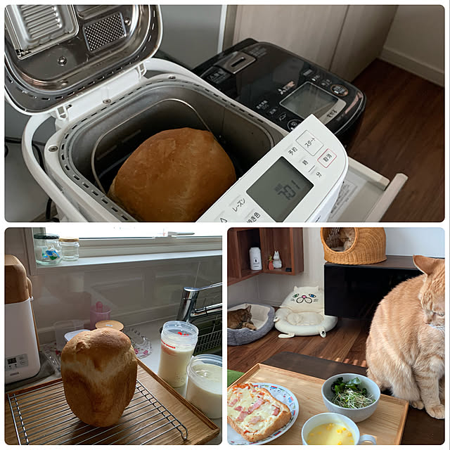 mikeume7さんの実例写真