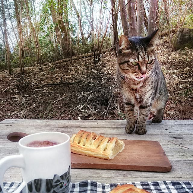 weさんの実例写真