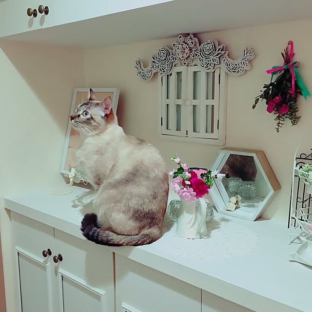 noelさんの実例写真