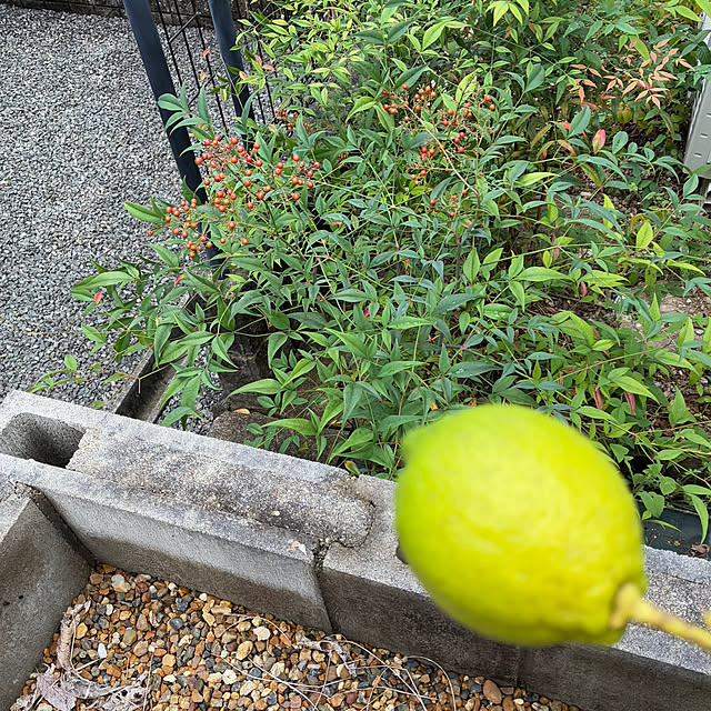 ayayayayaさんの部屋