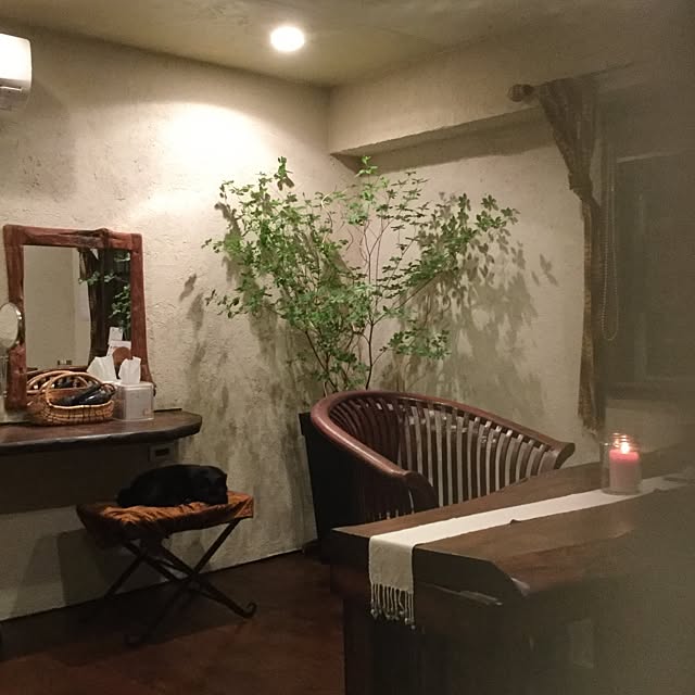 6catさんの実例写真