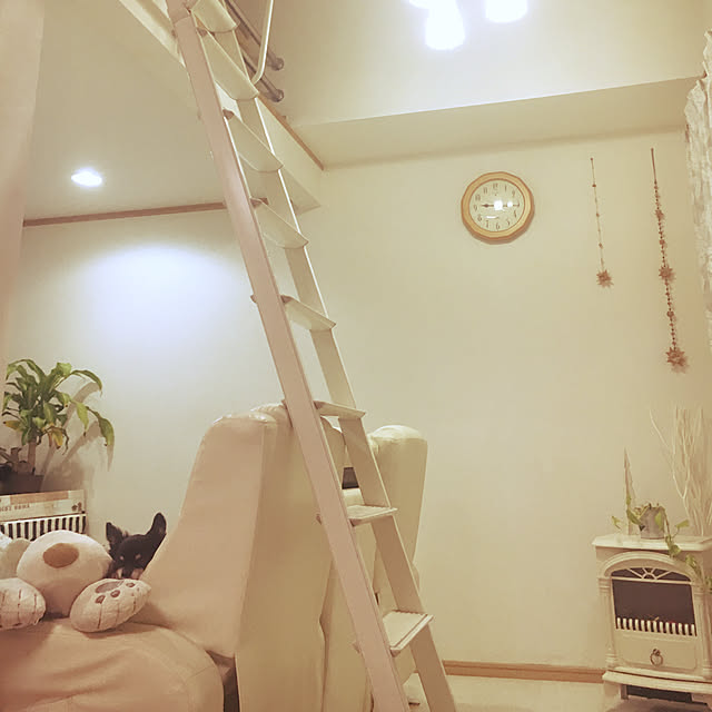 cocoさんの実例写真