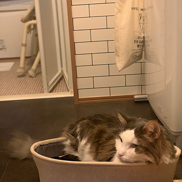 masakoさんの部屋