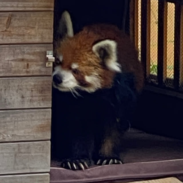 ohanaさんの部屋